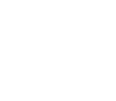 Academic Advisor